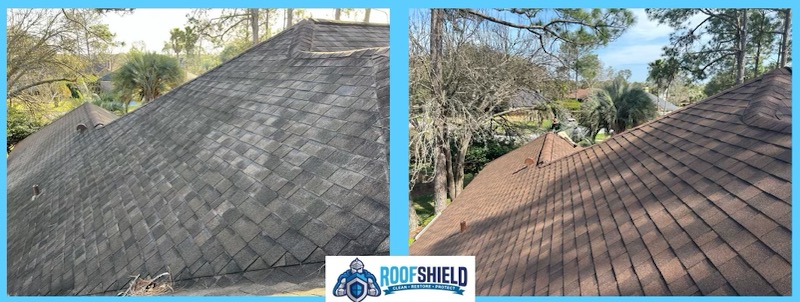 The dramatic difference the Roof Shield process makes on roof rejuvenation.