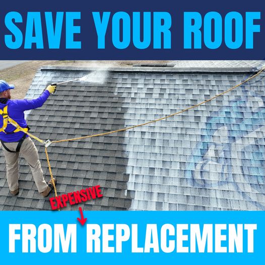 Save you roof from expensive replacements with Roof Shield.