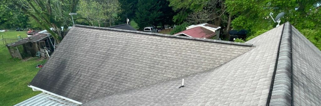 Unsightly black streaks are caused by gloeocapsa magma and damage the shingles integrity.