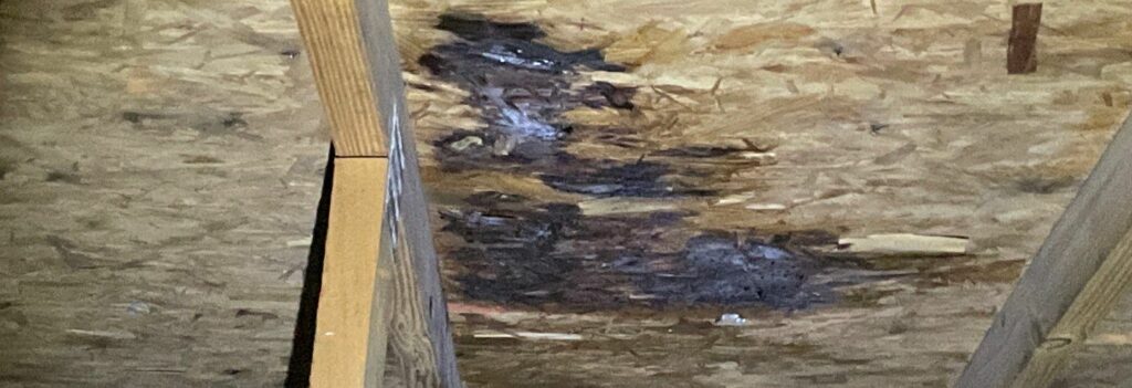 In this image water is coming into the attic from a rotten deck board cause by water penetration through the aging shingle.