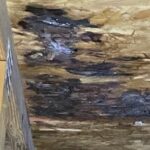 In this image water is coming into the attic from a rotten deck board cause by water penetration through the aging shingle.